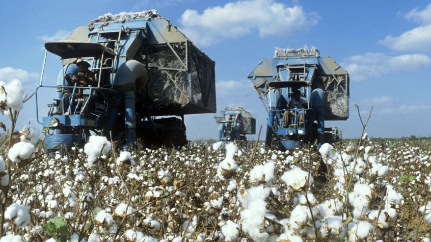 Cotton Mechanization in South Karakalpakstan. Assessment of 2017 Campaign