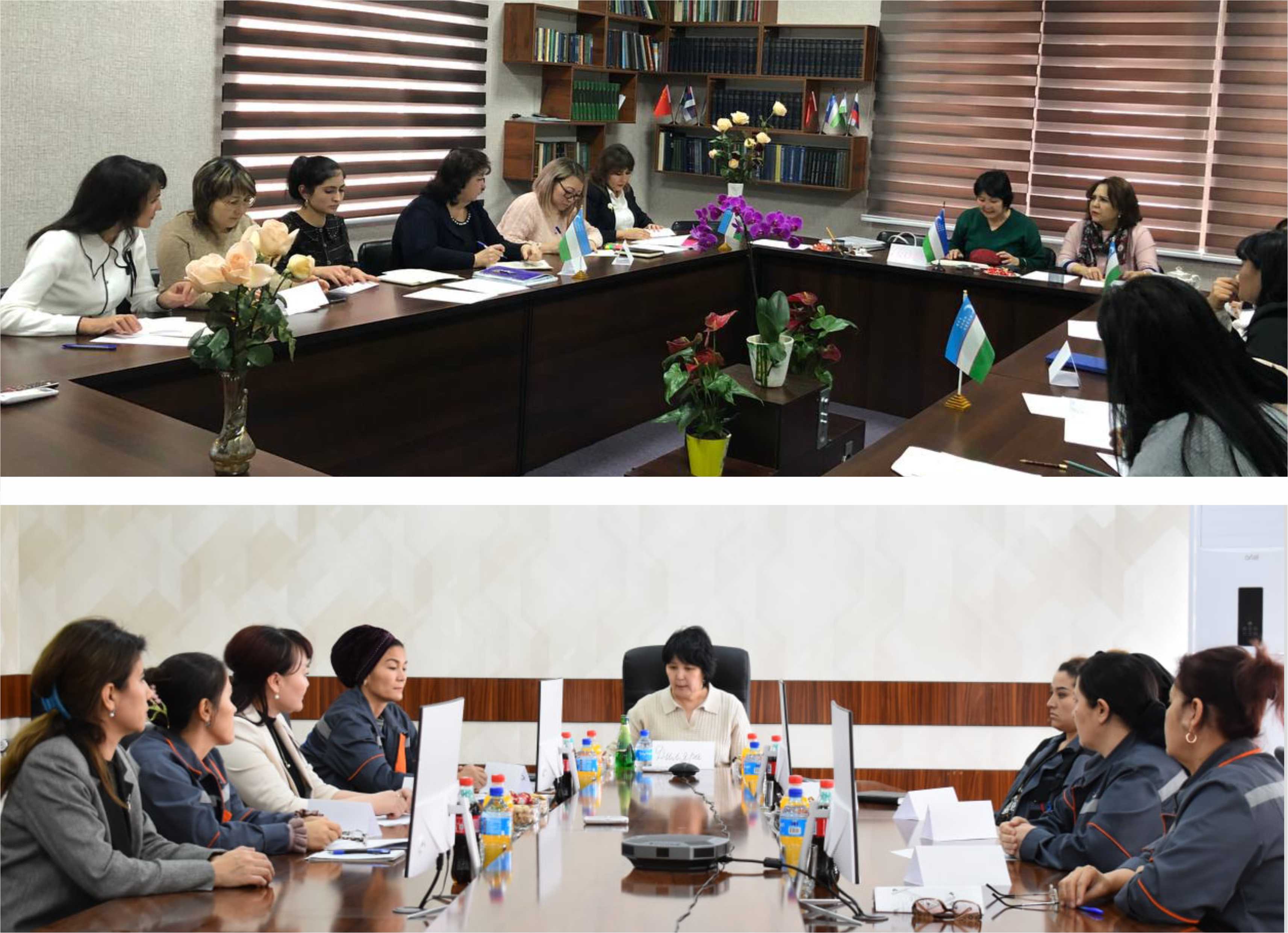 Baseline Assessment for the Central Asia Regional Network for Women in Energy